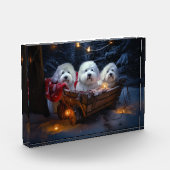 Katoen De Tulear Sneeuwslee Kerstdecoratie Fotoblokken (Links)