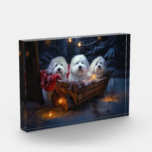 Katoen De Tulear Sneeuwslee Kerstdecoratie Fotoblokken (Links)