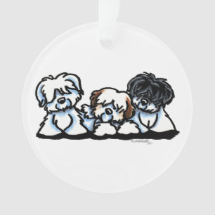 Katoen DE Tulear Trio Ornament