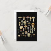 Katoen esthetische paddenstoel kaart (Voorkant / Achterkant in situ)