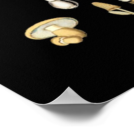 Katoen esthetische paddenstoel poster (Hoek)