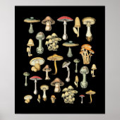Katoen esthetische paddenstoel poster (Voorkant)