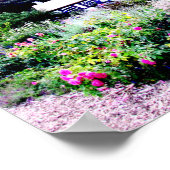 Katoen in het Poster Engelse tuinen (Hoek)