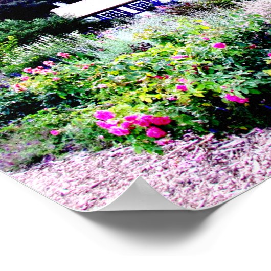 Katoen in het Poster Engelse tuinen (Hoek)