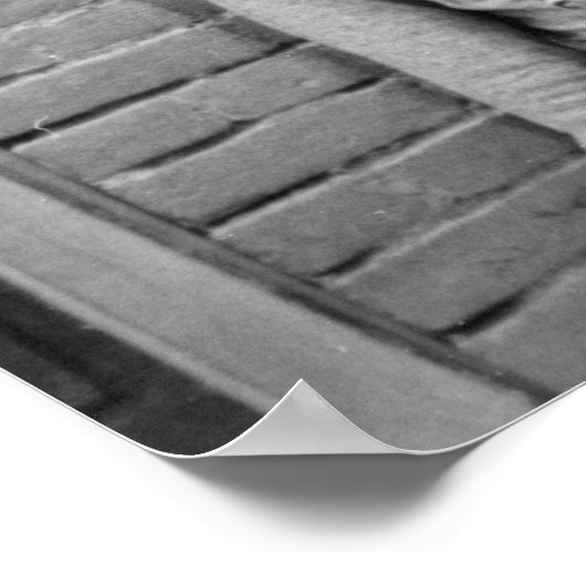 Katoen kaphoes, 1930s poster (Hoek)