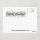 Katoen, katoenstaartkonijn, bevroren briefkaart (Achterkant)