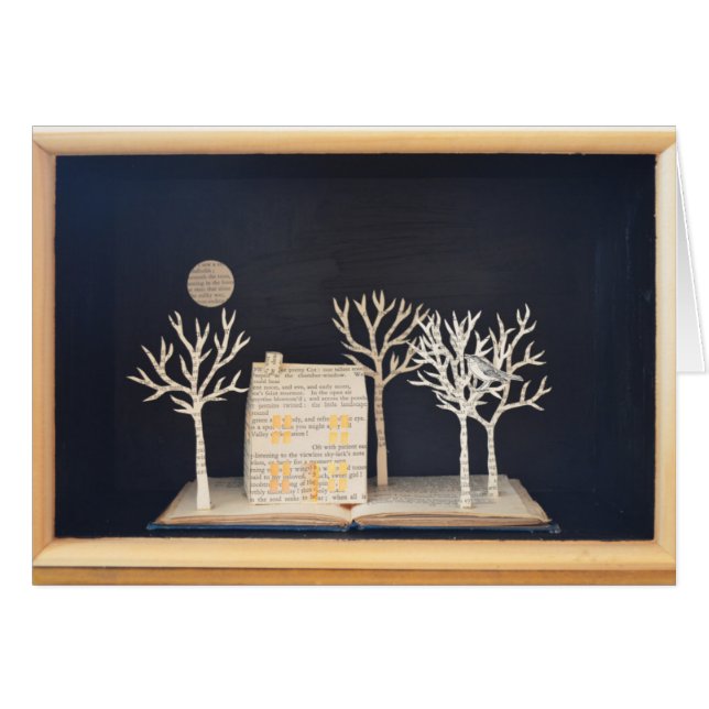 Katoen lichtdoos 2012 (Voorkant Horizontaal)