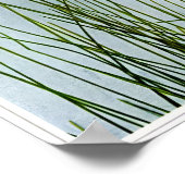 Katoen met schaap poster (Hoek)