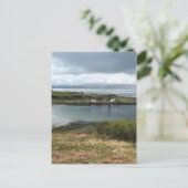 Katoen op het eiland Jura in Schotland Briefkaart (Staand voorkant)