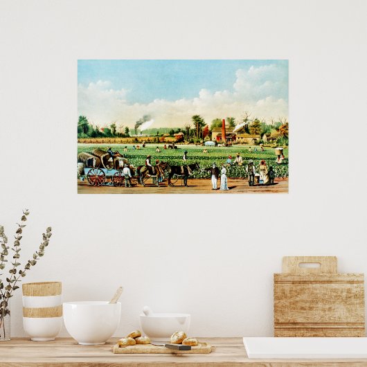 Katoen planten in Mississippi Poster (Keuken)