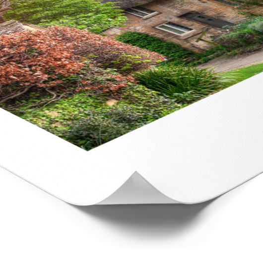 Katoen Poster (Hoek)