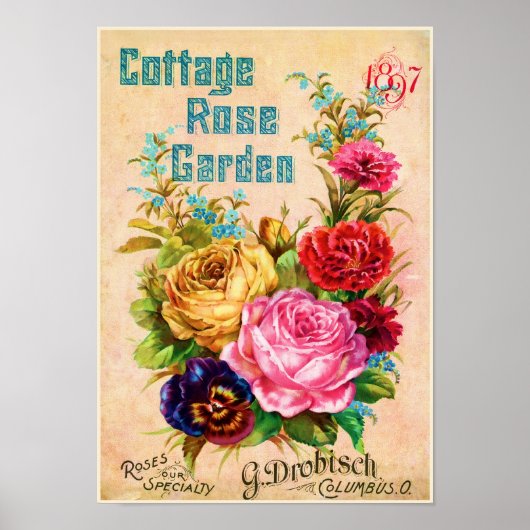 Katoen Roos Tuin Advertisement Poster (Voorkant)