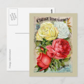 Katoen Roos Tuinreclame Briefkaart (Voorkant / Achterkant)