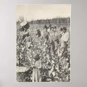 Katoen schoppen in 1916 poster