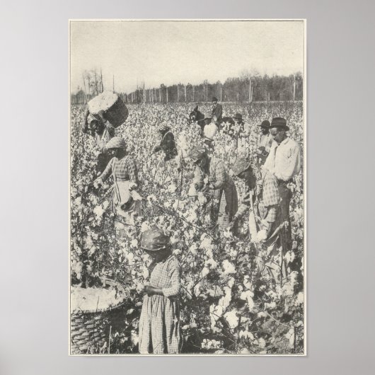 Katoen schoppen in 1916 poster (Voorkant)