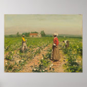 Katoen schoppen - William G. Gaul Fine Art Poster (Voorkant)