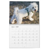 Katoen Snoep Kalender (Mar 2027)