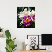 Katoen Snoep Orchid V Afdrukken -20x24 - of kleine Poster (Thuiskantoor)