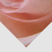 Katoen Snoep Roos Bud tissue papier (Detail)