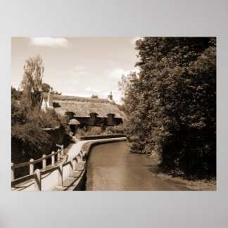 Katoen sproeier poster