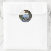 Katoen Sticker (Tas)