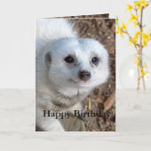 Katoen The White Meerkat, Birthday Kaart (Gele Bloem)