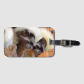 KATOEN - TOP TAMARIN APEN BAGAGELABEL (Voorkant (horizontaal))