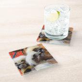 KATOEN - TOP TAMARIN APEN GLAZEN ONDERZETTER (Schuin)