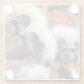 KATOEN - TOP TAMARIN APEN GLAZEN ONDERZETTER (Achterkant)