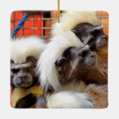 KATOEN - TOP TAMARIN APEN KERAMISCH ORNAMENT (Achterkant)