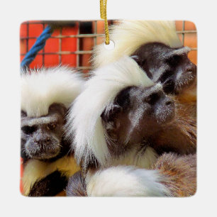 KATOEN - TOP TAMARIN APEN KERAMISCH ORNAMENT