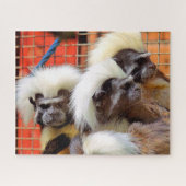 KATOEN - TOP TAMARIN APEN LEGPUZZEL (Horizontaal)