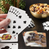 KATOEN - TOP TAMARIN APEN POKERKAARTEN (Insitu)