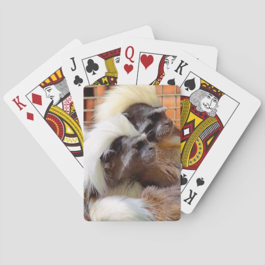 KATOEN - TOP TAMARIN APEN POKERKAARTEN (Achterkant)