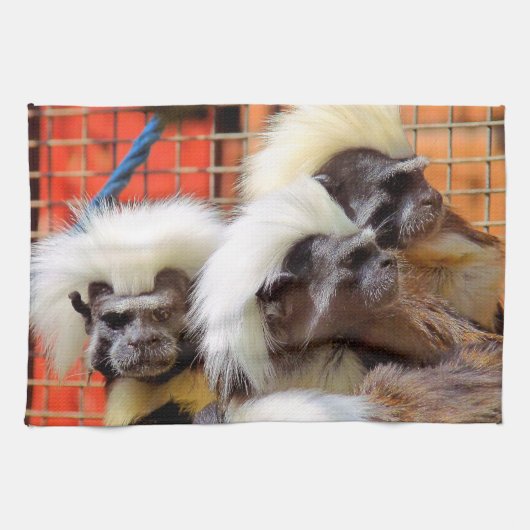 KATOEN - TOP TAMARIN APEN THEEDOEK (Horizontaal)