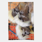 KATOEN - TOP TAMARIN APEN THEEDOEK (Verticaal)