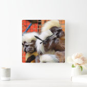 KATOEN - TOP TAMARIN APEN VIERKANTE KLOK (Huis)