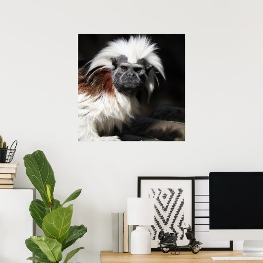Katoen top Tamarin Poster (Thuiskantoor)