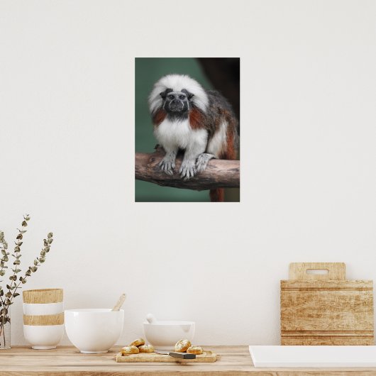 Katoen top Tamarin Poster (Keuken)