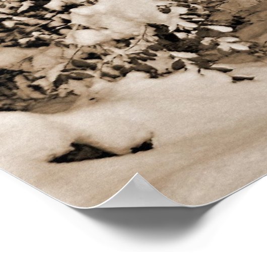 Katoen voor sproeiers in de winter poster (Hoek)