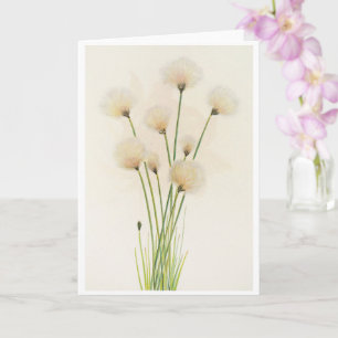 Katoenbloemen Kaart