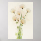 Katoenbloemen Poster (Voorkant)