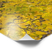 Katoenboom in piek-valkleuren in gletsjer foto afdruk (Hoek)