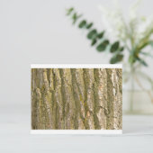 Katoenboomschors Briefkaart (Staand voorkant)