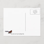 Katoenbossen langs de Moose Ponds-route bij Grand  Briefkaart (Achterkant)