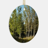 Katoenbossen langs de Moose Ponds-route bij Grand  Keramisch Ornament (Rechts)