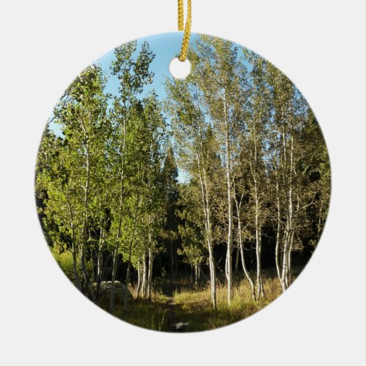 Katoenbossen langs de Moose Ponds-route bij Grand  Keramisch Ornament (Voorkant)