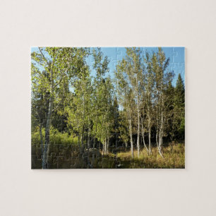 Katoenbossen langs de Moose Ponds-route bij Grand Legpuzzel
