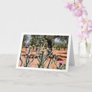 Katoenen distel, onopordum Plant Kaart