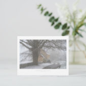 Katoenen in de winter briefkaart (Staand voorkant)